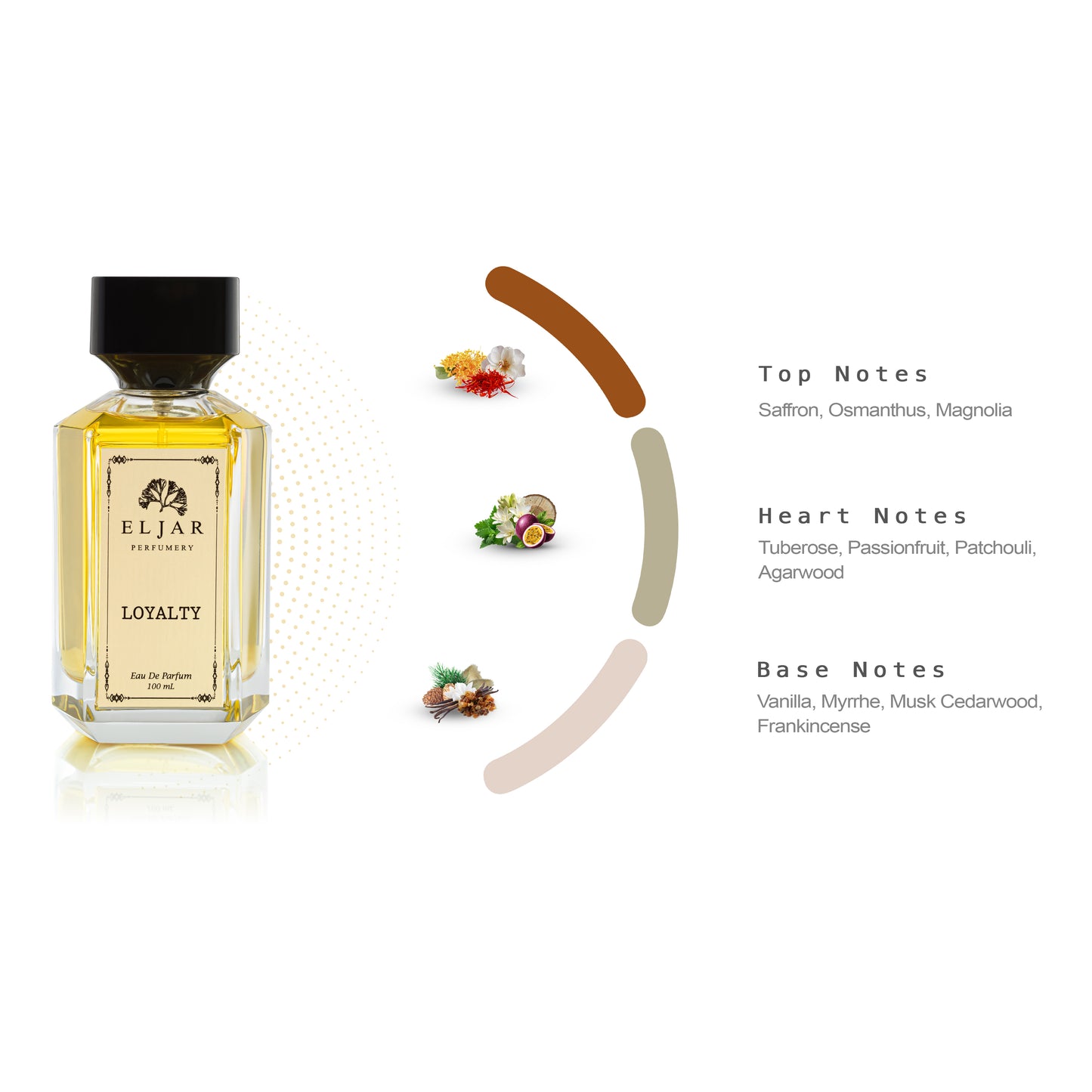 Loyalty مجموعة عطور