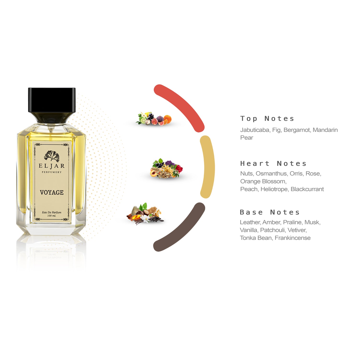Loyalty & Voyage عطور