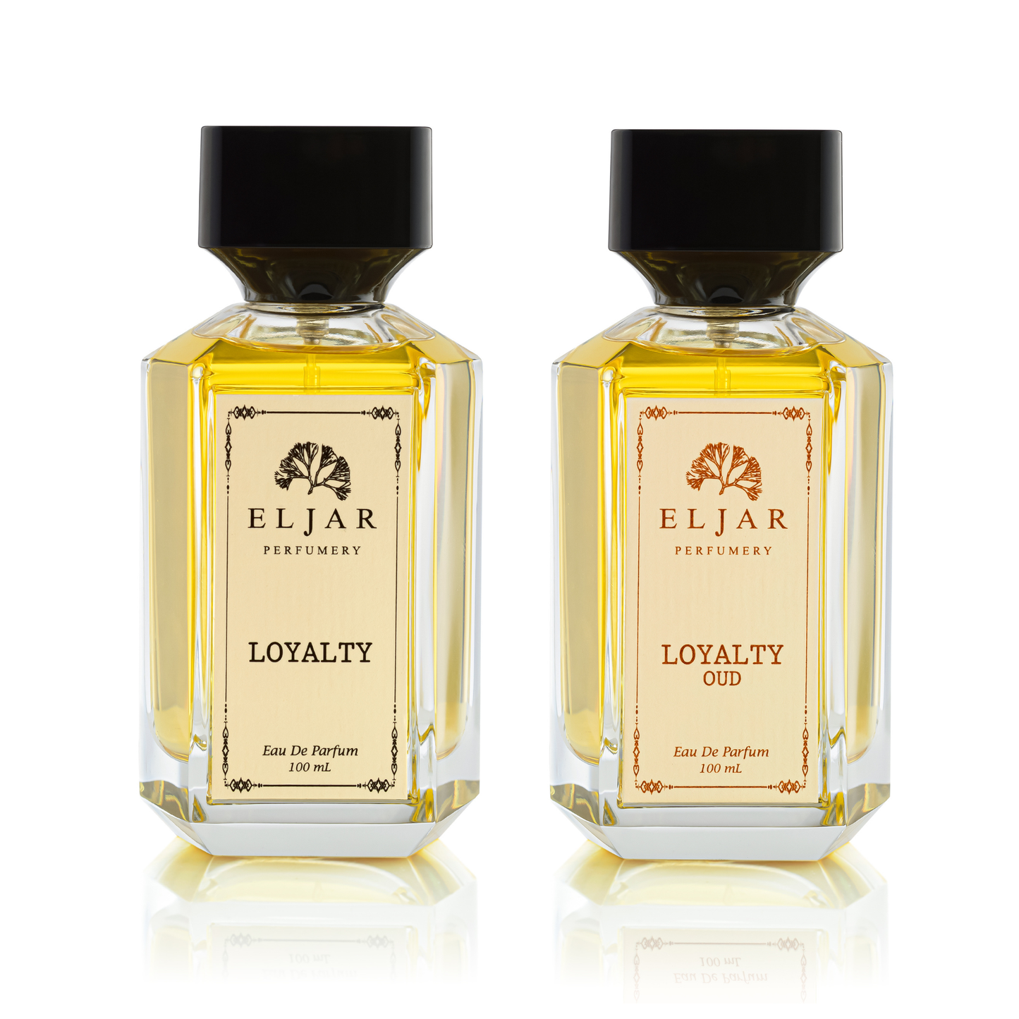 Loyalty مجموعة عطور